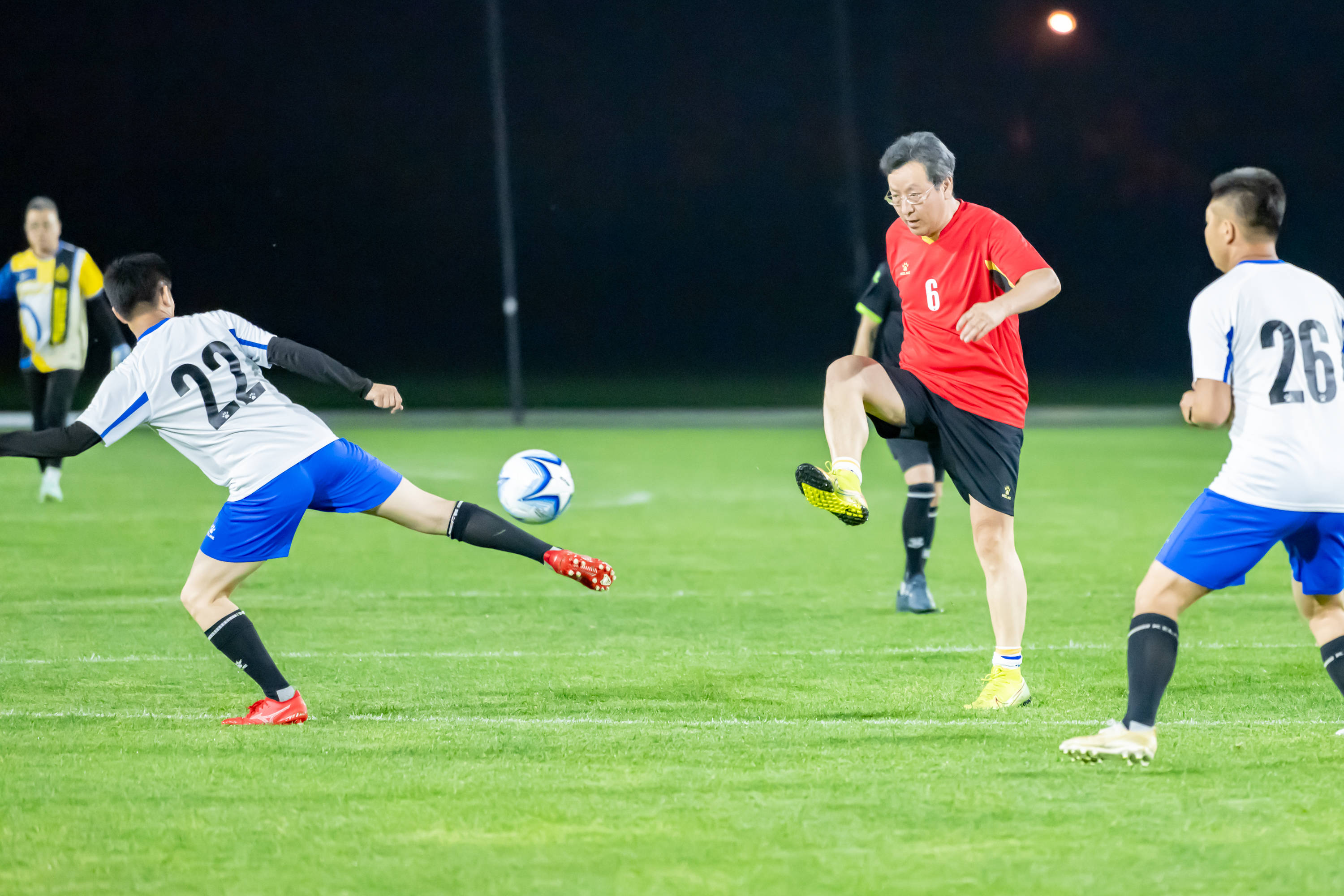 化剂如维生 化剂如维生