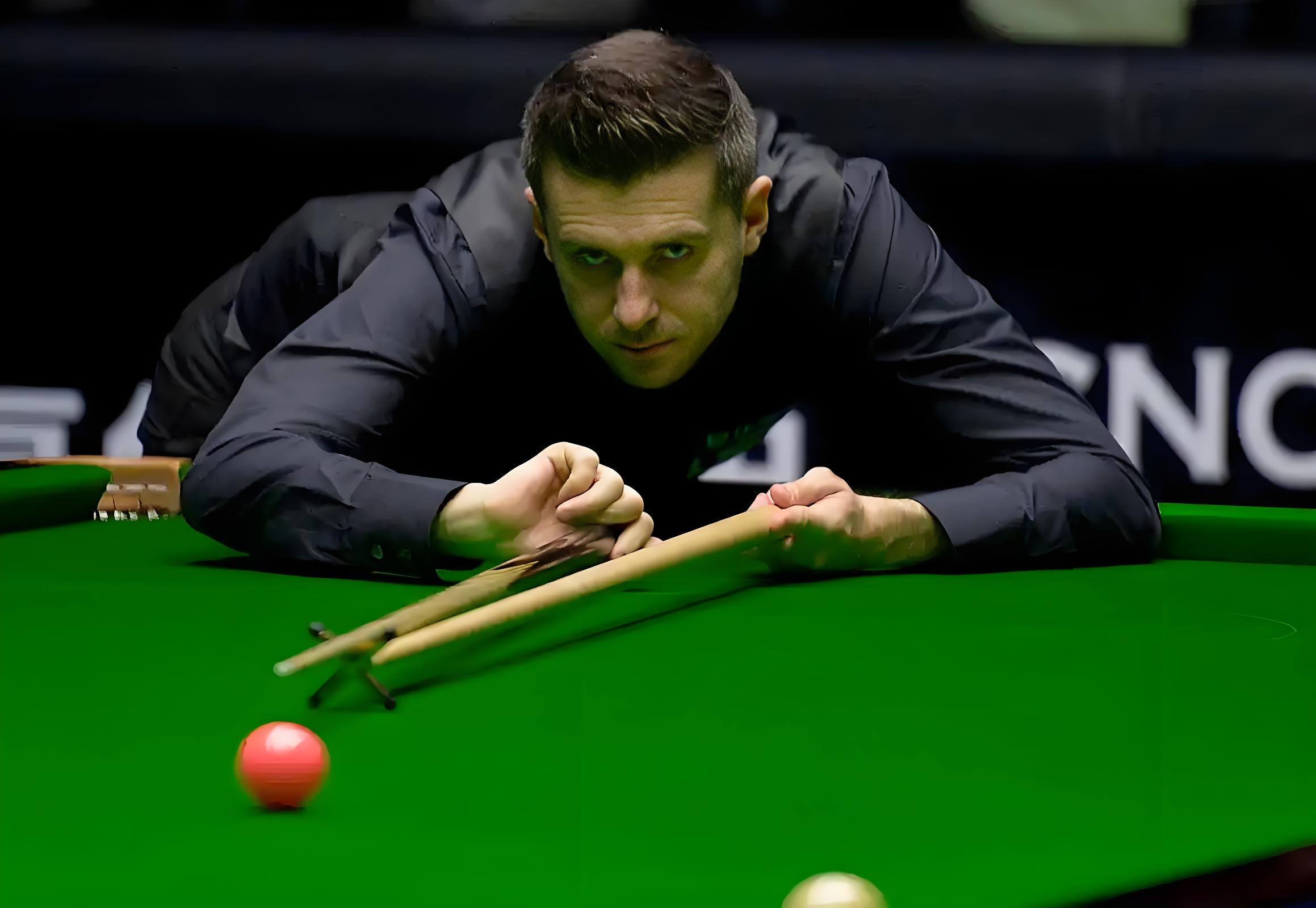 谨慎的表达 谨慎的表达