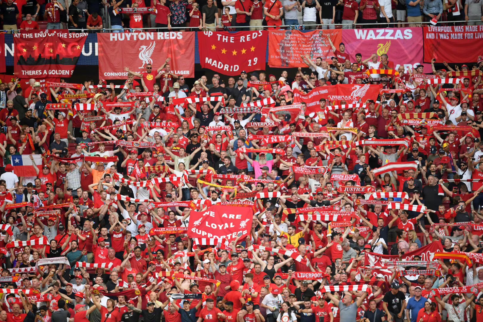 情感密度的 情感密度的